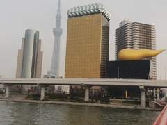 도쿄 여행 사진