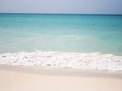 [대협백호] 그 여름에