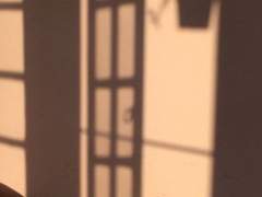 오주한/32/공개 프로필