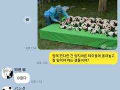 ꕤ주술회전ꕤ 카톡 카피페 (41)