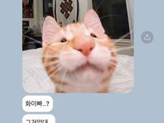 주술회전 드림 카톡 카피페 57