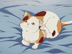 [익준송화] 어느 날 머리에서 귀가 자랐다