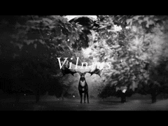 『Vilnius』- 萬燈夜帳