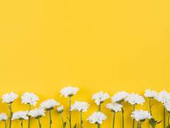 [고죠게토] 상견례