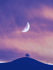 저승사자 세계에서 살아남기