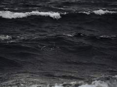 굿바이, 스페이스 하트