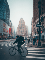 내가 읽은 소설들