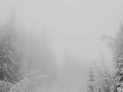 이미지 글로그(10)