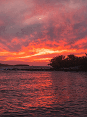 그 애는 나를 싫어했으려나