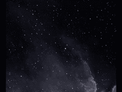 지염(指染)_첫사랑