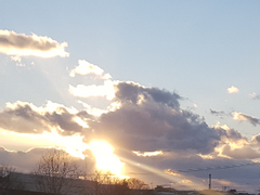 빙추 발렌타인 소설