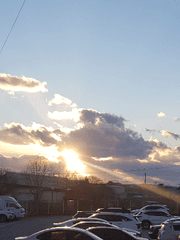 인사반파자구계통