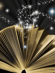 전지적 독자 시점