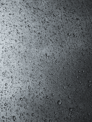 봄을 띄운 바다