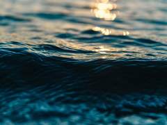 [드림포타온] 미련함을 가득 담아 Info