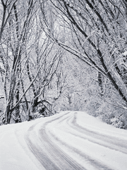 ENVIS: First Excess Dystopia