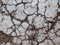 [마다코하] 무언가를 공통으로 수사하지만 더 이상은 함께하지 않는 AU