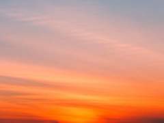 [마다코하] 임무에 몰입하느라 ** **를 받지 못한 두 사람