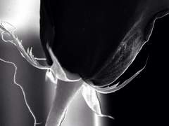 가금경/18세/2반