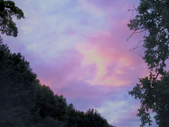 [sample] 사랑한다, 말해주세요