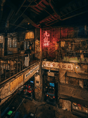 천무이일 天無二日