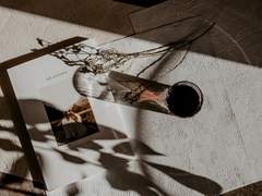 斷念과 丹念 사이 그 어딘가에