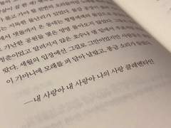 흑설매XY19