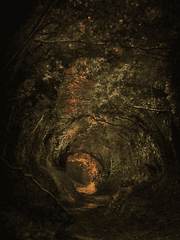 신자 - 외전과도 같은 글