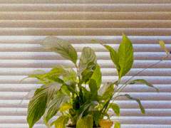 [금영영인] 드디어