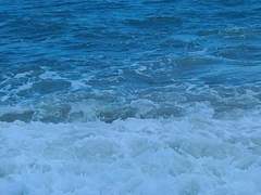 고래야 적어도 바다는 네가 가졌으면 좋겠어