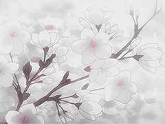 [ 도리벤 ] 드림주가 천축과 만나는 드림