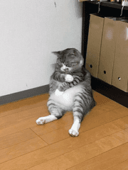 도쿄리벤저스 썰 모음