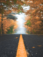 도쿄 리벤저스 드림