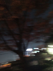 검은색 흰색 그리고 투명