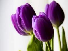 [섭남파업] waiting for love