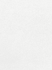 가이드버스로 이사기른