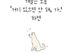 코코툰 002