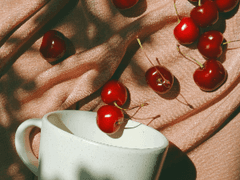 [애드엘시/매패블퀸] Mon Chéri