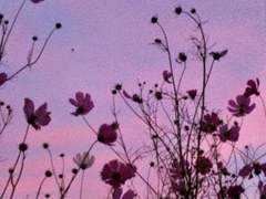 세상의 끝에서 우리는.