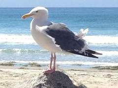 당신에게 자유란