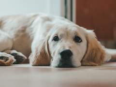 하이큐 드림썰 백업 4