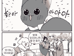 [혼돈유진] 고양이 육아는 처음이세요?