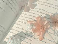 내 생각은 이런데