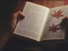 추락해버리고 만 나의 사랑