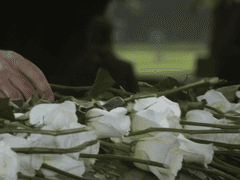 모노아민, 도파민, 노르에피네프린과 세로토닌 1