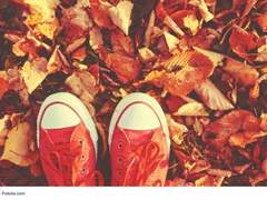 [뜰팁/단편] 가을 나무 아래