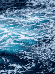 심해에 수몰한 애상의 파도