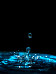 원수 그대로 설정