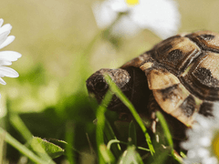 그럼 저도 맘대로 불러도 괜찮아요?