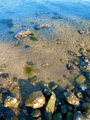 신아, 학밖청 생존기.